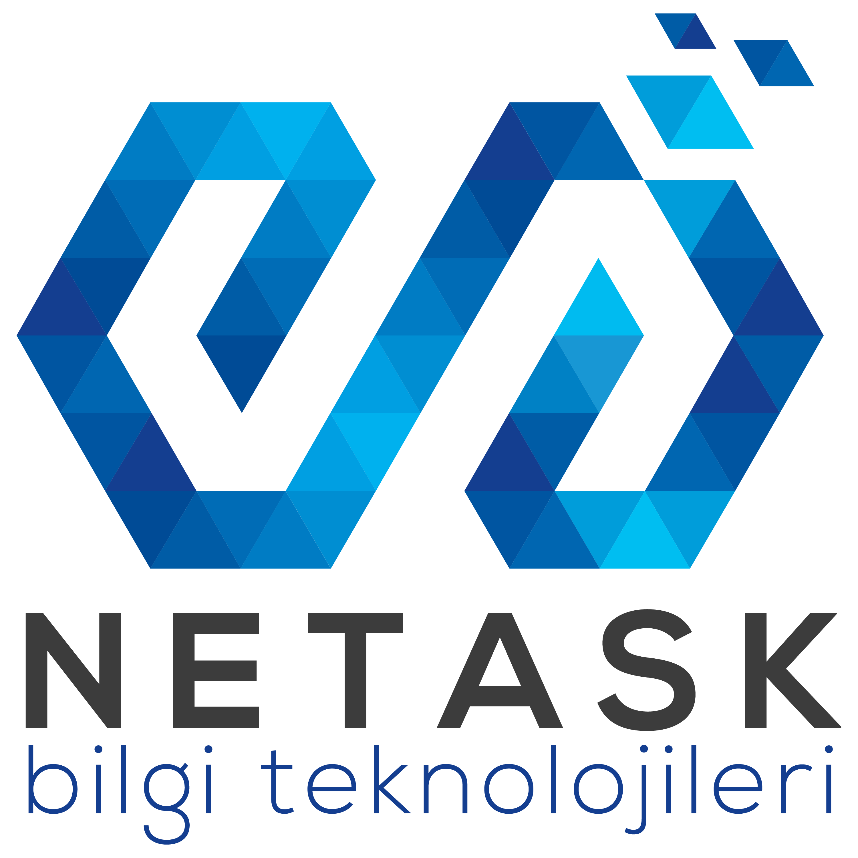 Netask Information Technologies